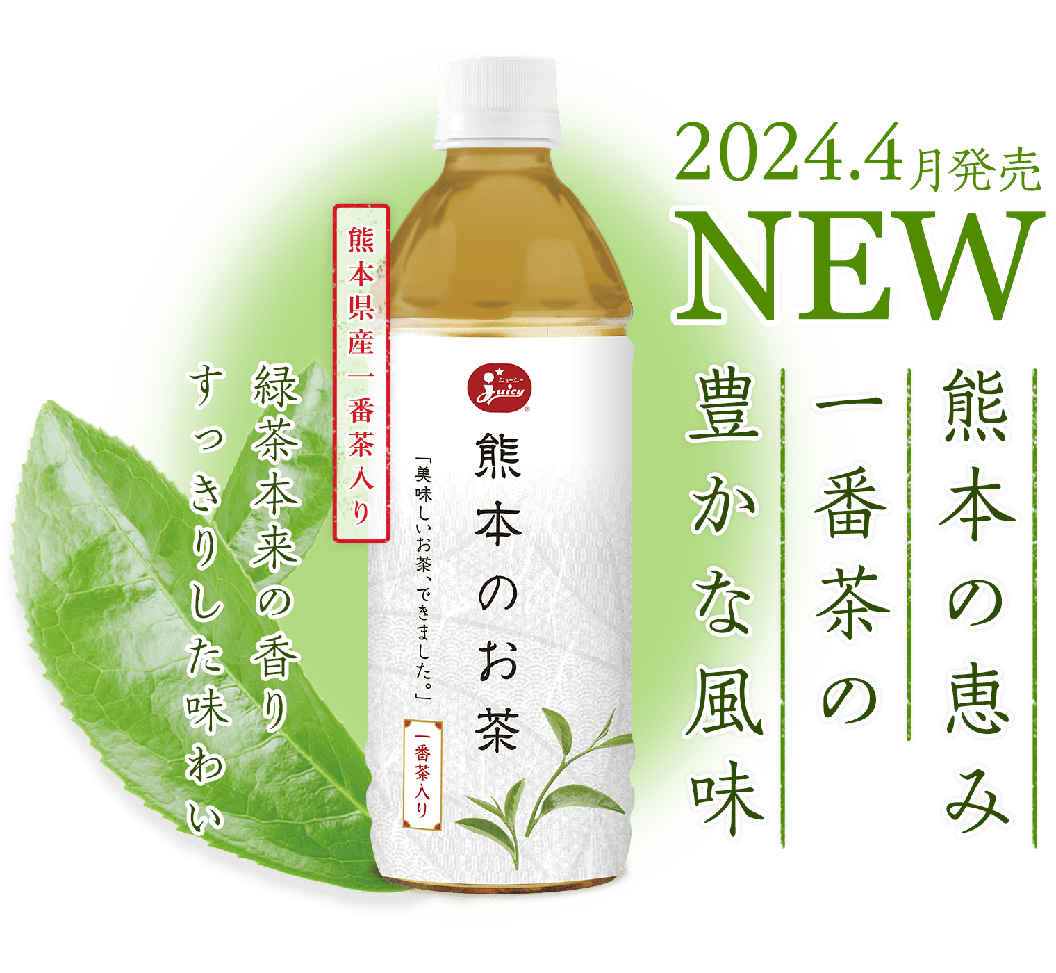 熊本の恵み　一番茶の贅沢な風味　熊本県産一番茶入り　緑茶本来の香り　すっきりした味わい